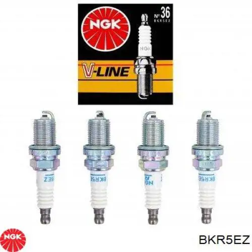 Свічки NGK BKR5EZ