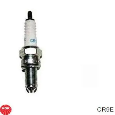 Свічки запалювання CR9E NGK