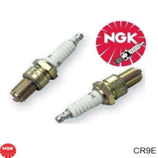 Свічки NGK CR9E