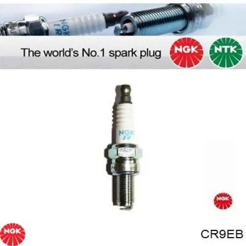 Свічки запалювання CR9EB NGK