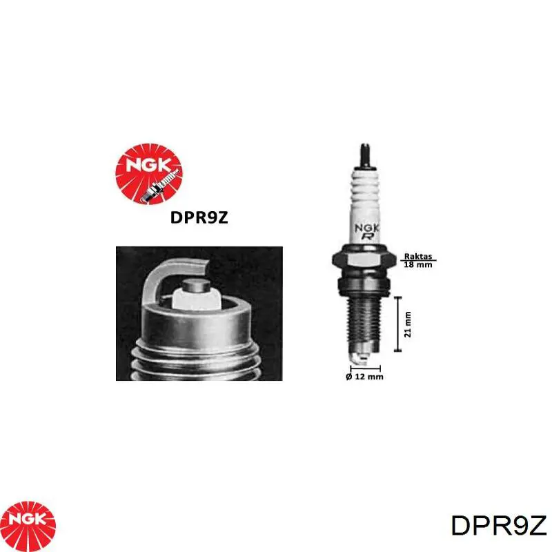 Свічки запалювання DPR9Z NGK