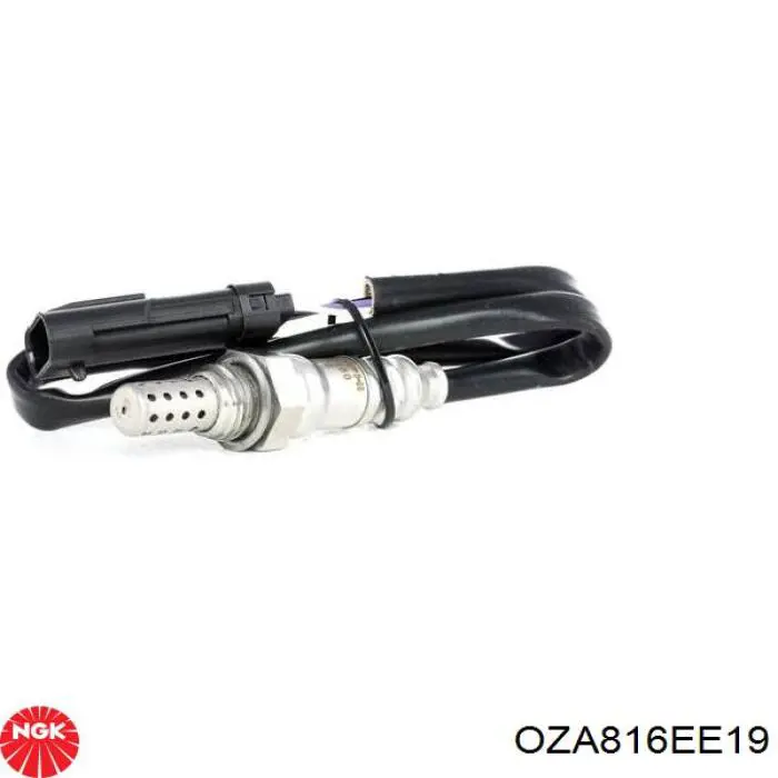 Купити OZA816EE19 NGK Лямбда-зонд, датчик кисню після каталізатора