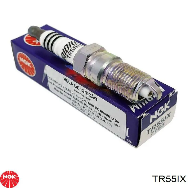 Свічки запалювання TR55IX NGK