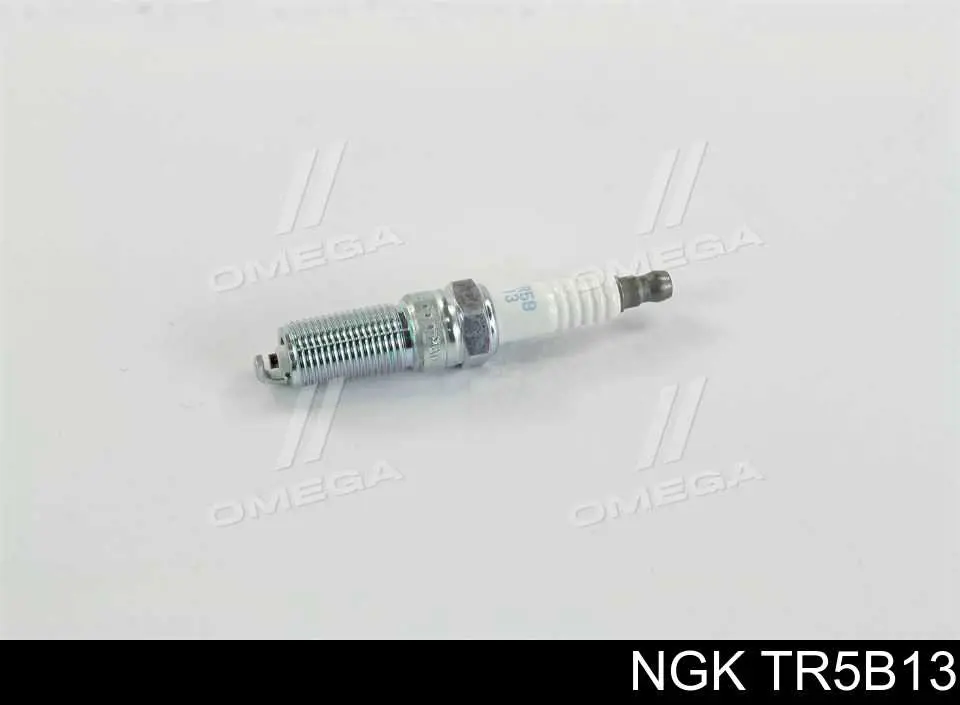 Свічки запалювання TR5B13 NGK