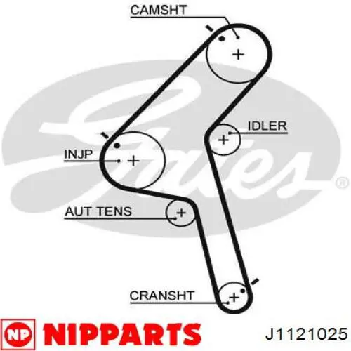 Ремінь ГРМ J1121025 Nipparts