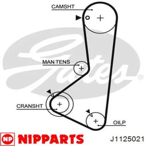 Ремінь ГРМ J1125021 Nipparts