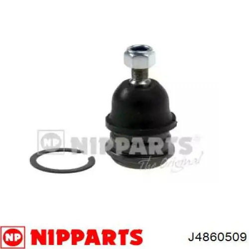 Кульова опора, нижня Nipparts J4860509