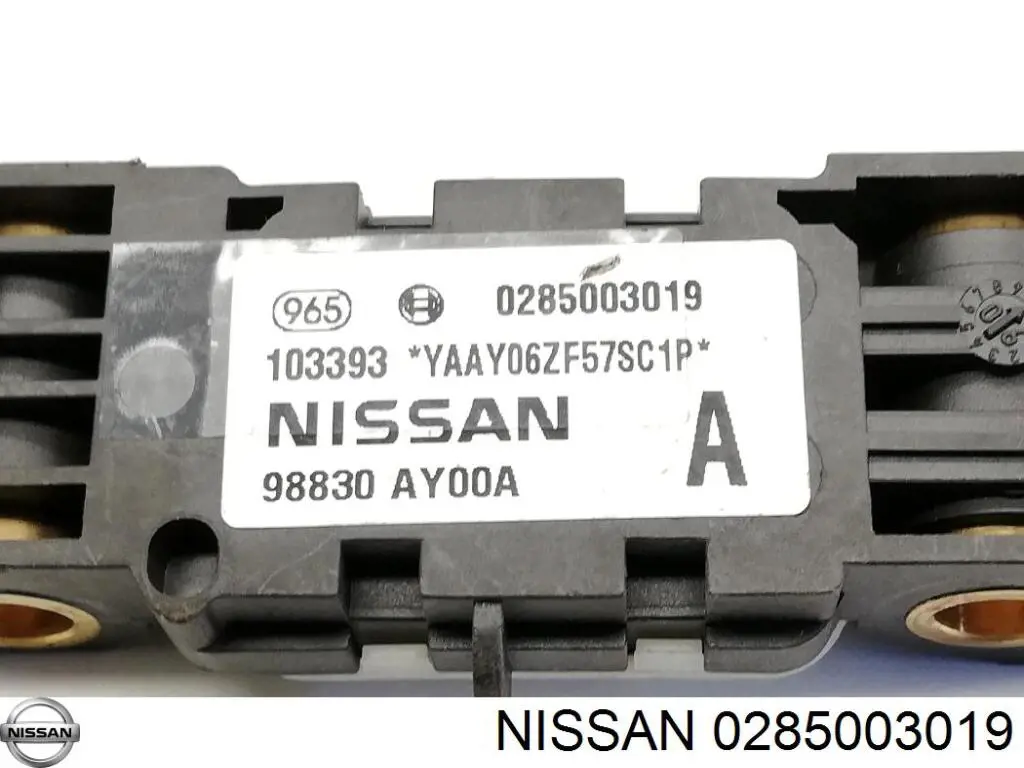 0285003019 Nissan/Infiniti 