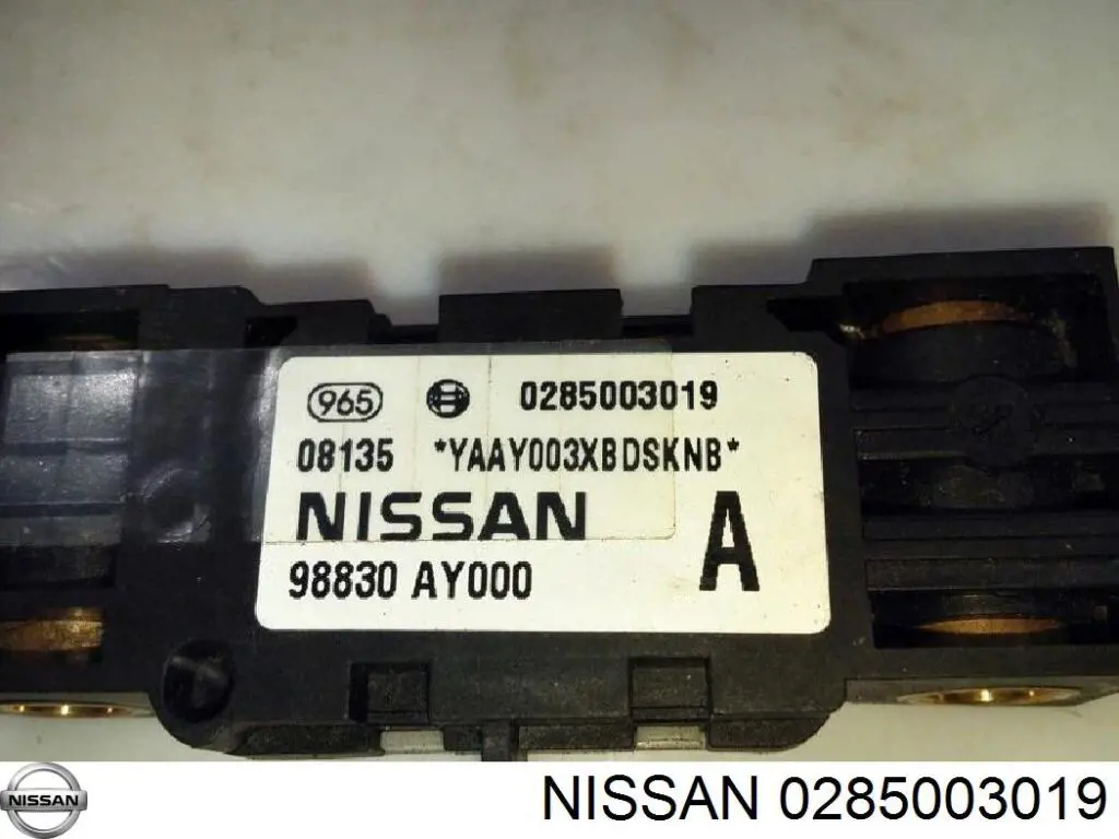  0285003019 Nissan/Infiniti