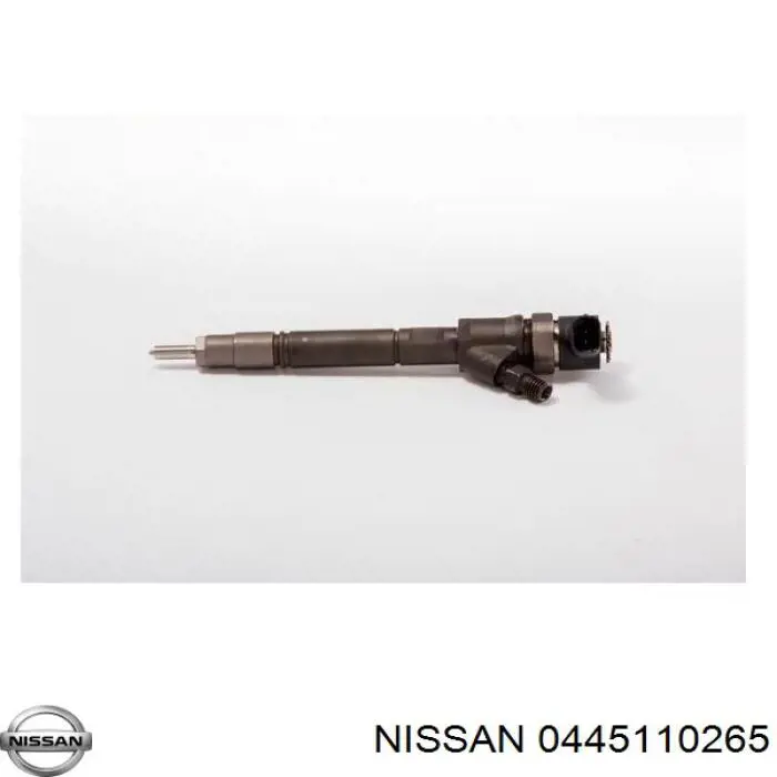 Купити 166000511R Renault (RVI) Форсунка дизельна в зборі, розпилювач + тримач