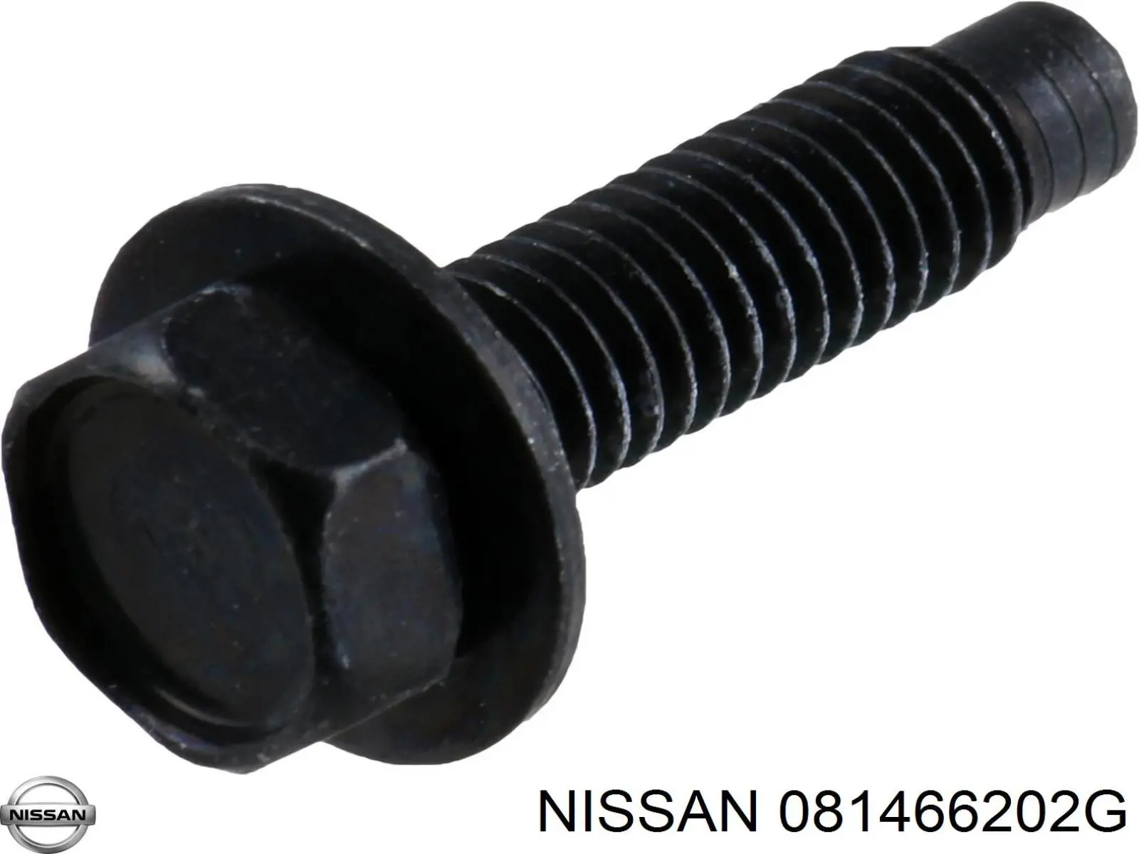 081466202G Nissan/Infiniti 