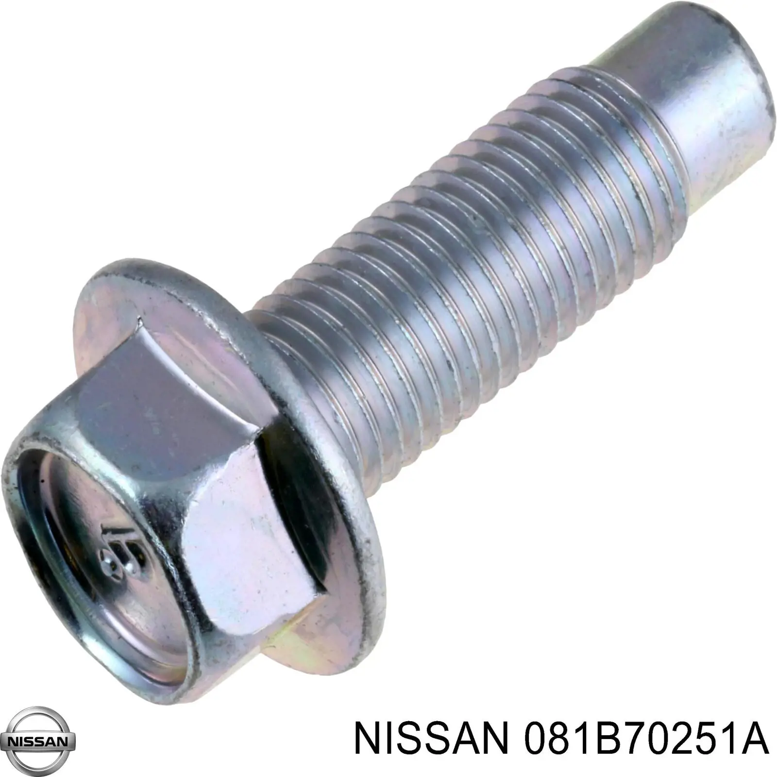 081B70251A Nissan/Infiniti 