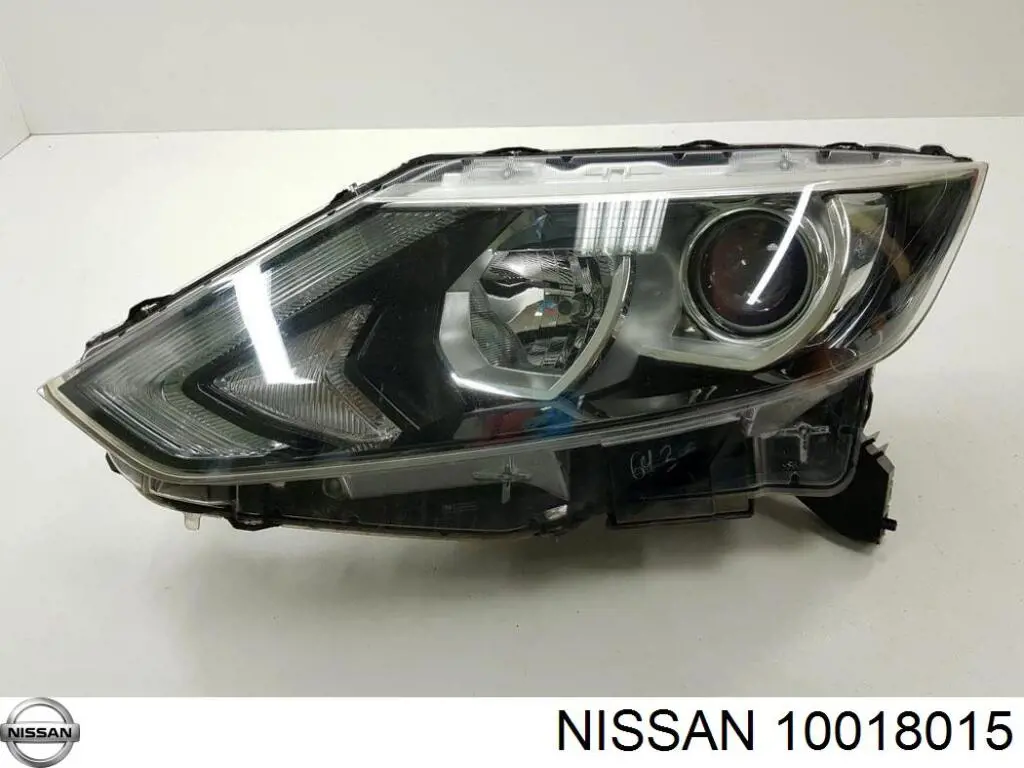 10018015 Nissan/Infiniti 