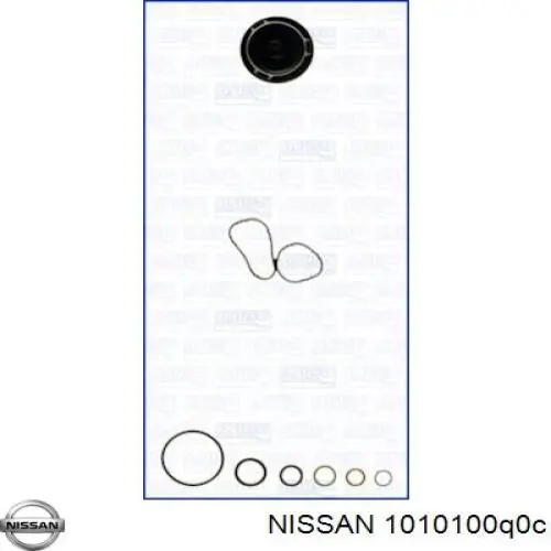 1010100Q0C Nissan/Infiniti Набір прокладок двигуна