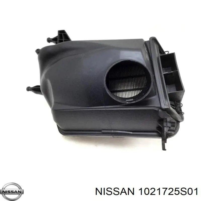  1021725S01 Nissan