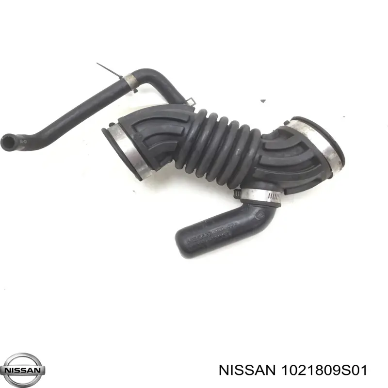  1021809S01 Nissan