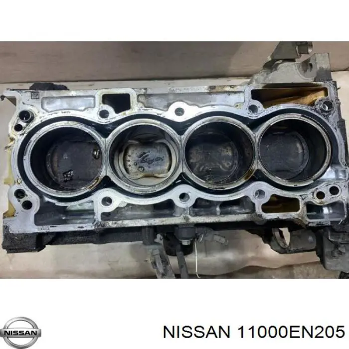 11000EN205 Nissan/Infiniti Блок циліндрів двигуна