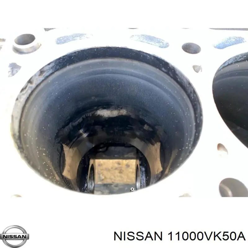 11000VK50A Nissan/Infiniti Блок циліндрів двигуна