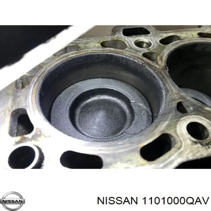 1101000QAV Nissan/Infiniti Блок циліндрів двигуна