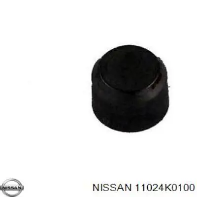 Заглушка головки блока на Nissan Terrano II R20