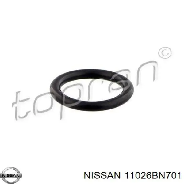  5295200QAA Nissan