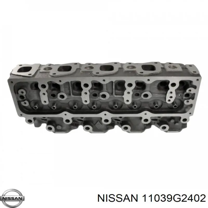 Головка блока циліндрів (ГБЦ) Nissan Terrano (WD21) (Нісан Террано)