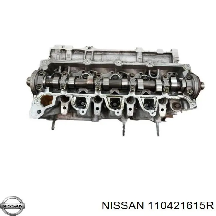 110421615R Nissan/Infiniti Головка циліндрів