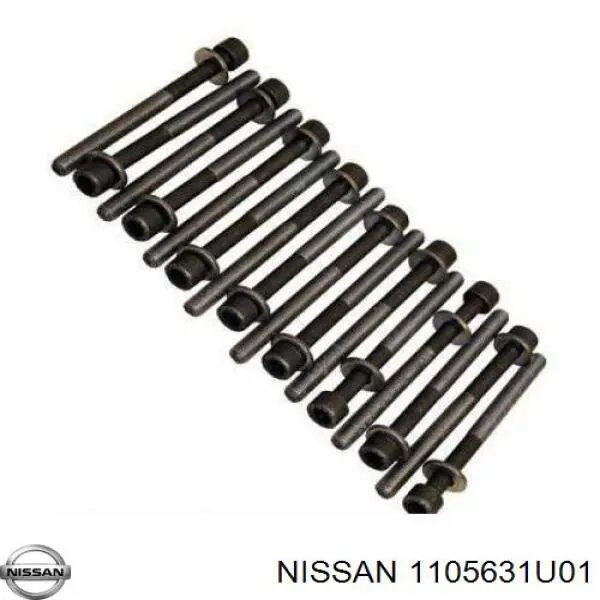 Болт головки блока циліндрів, ГБЦ 1105631U01 Nissan