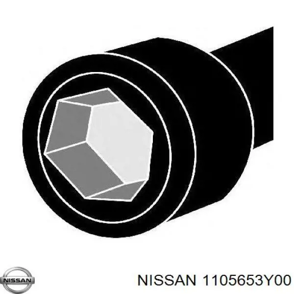 1105653Y00 Nissan болт головки блока циліндрів, гбц