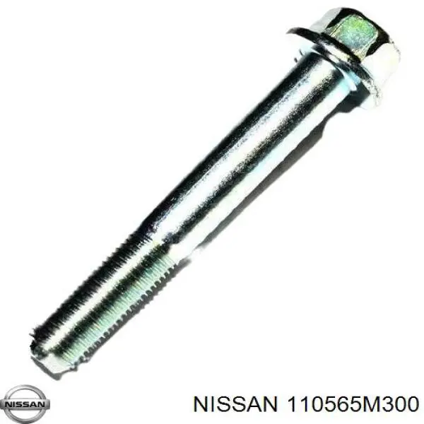 Болт головки блока циліндрів, ГБЦ Nissan/Infiniti 110565M300 ціна, від 11.49 USD