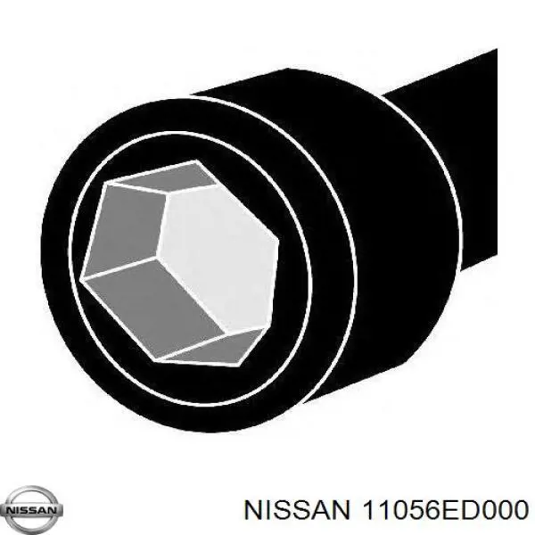 Купити 11056ED000 Renault (RVI) Болт гбц