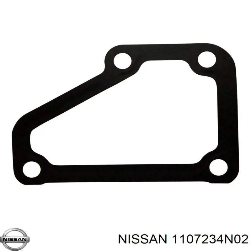  1107234N02 Nissan