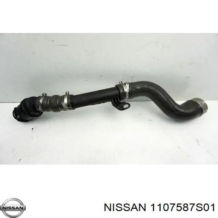  1107587S01 Nissan/Infiniti