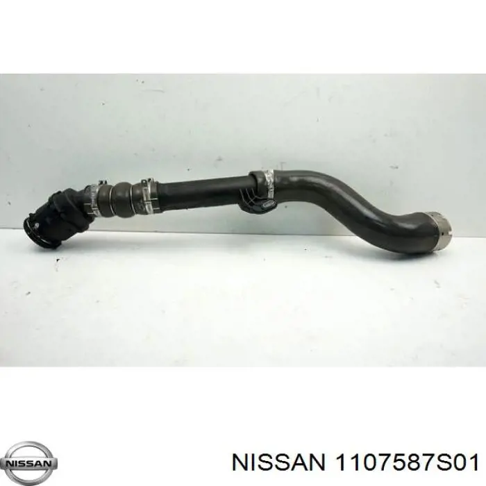  1107587S01 Nissan