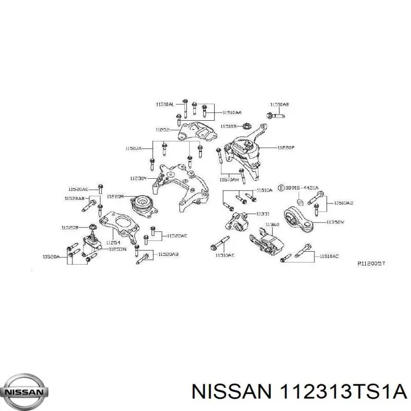 112313TS1A Nissan/Infiniti 