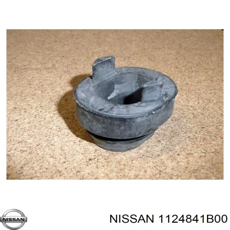 1124841B00 Nissan/Infiniti 