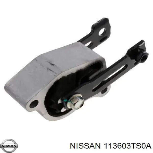  Nissan/Infiniti 113603TS0A ціна, від 19.00 USD