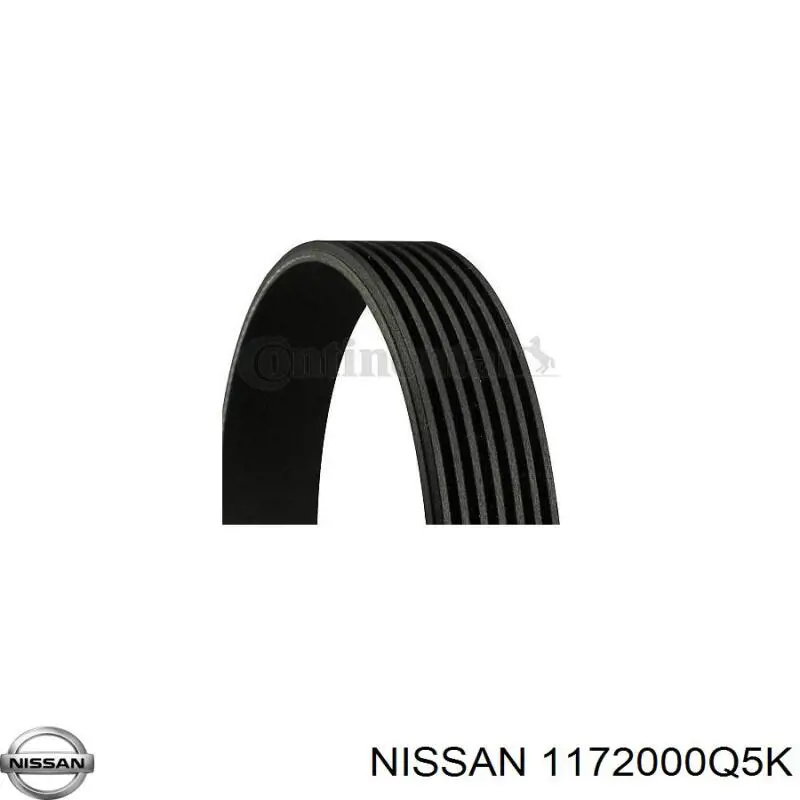 1172000Q5K Nissan/Infiniti 
