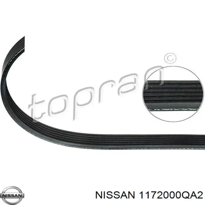 Купити 1172000QA2 Nissan/Infiniti Ремінь генератора