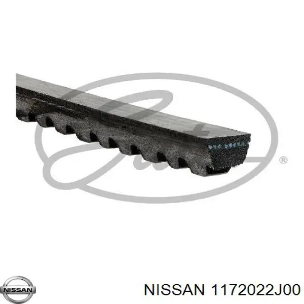 Купити 1172022J00 Nissan/Infiniti Ремінь генератора