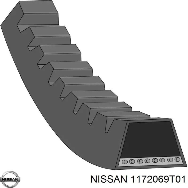  1172069T01 Nissan