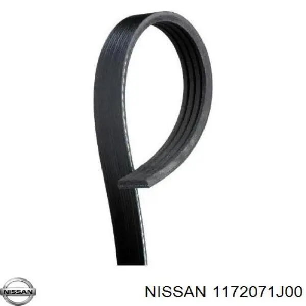  1172071J00 Nissan