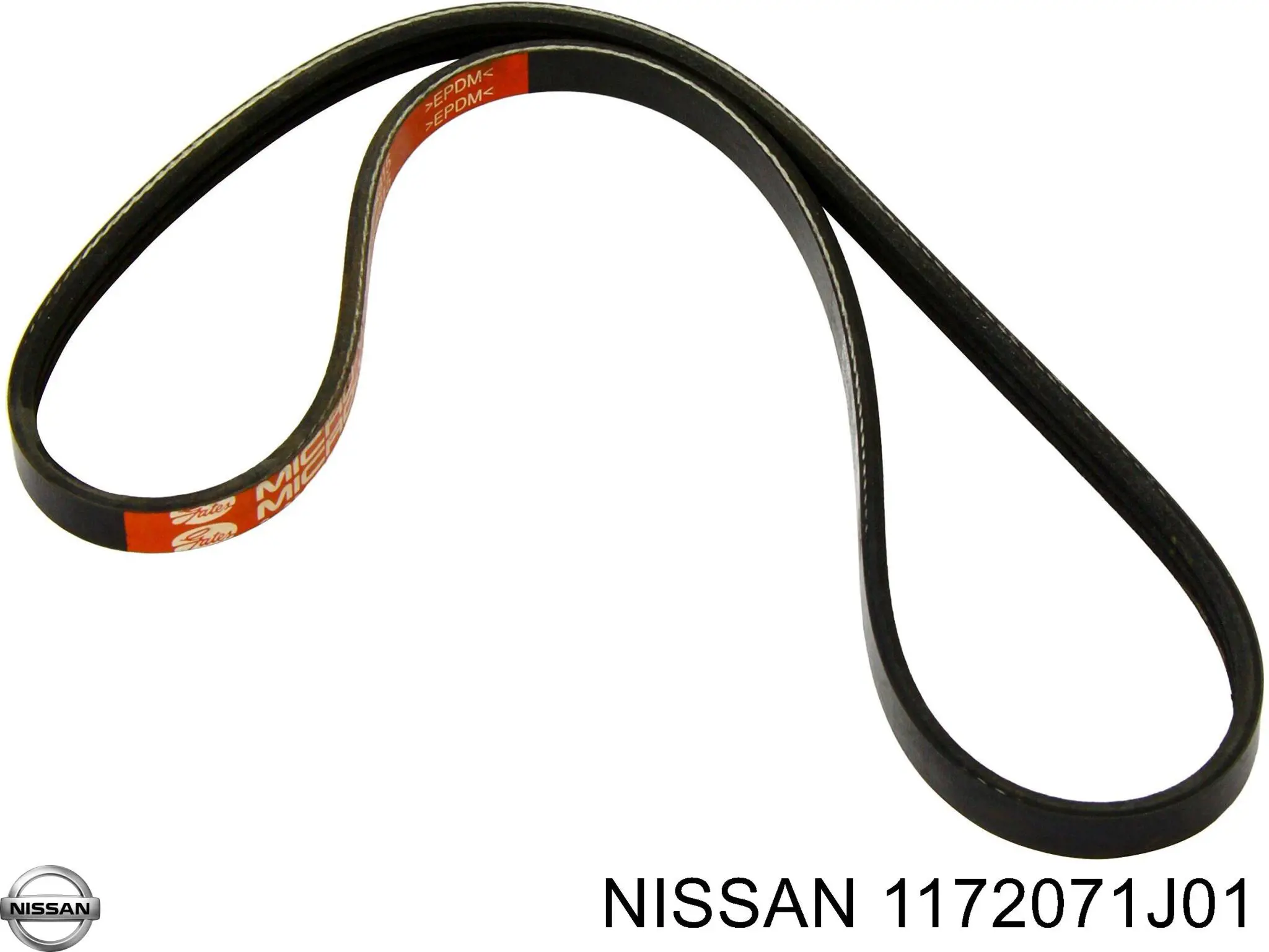 Купити 1172071J01 Nissan/Infiniti Ремінь генератора