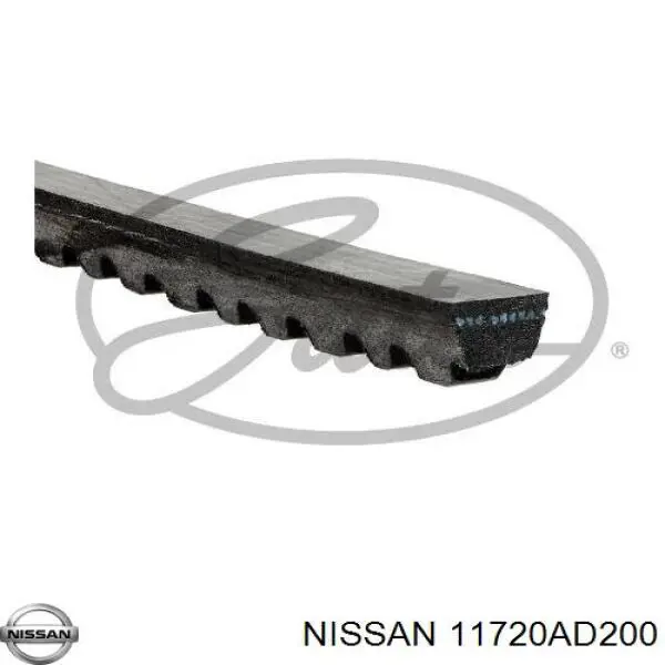 Ремінь генератора 11720AD200 Nissan/Infiniti