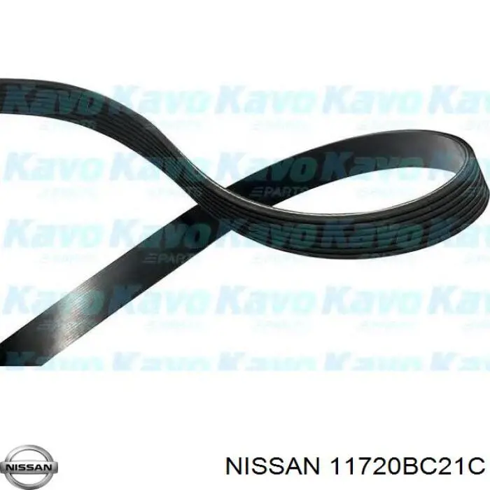 Клиновий ремінь Nissan/Infiniti 11720BC21C ціна, від 10.54 USD