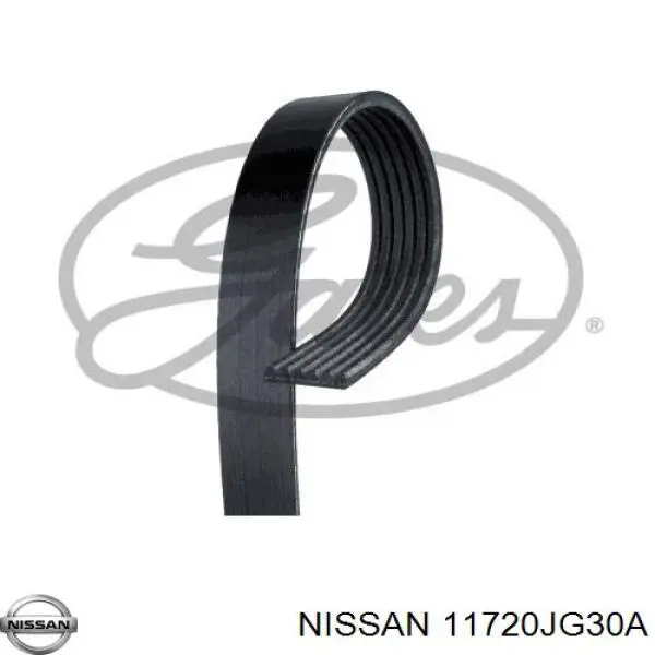 Купити 11720JG30A Nissan/Infiniti Ремінь генератора