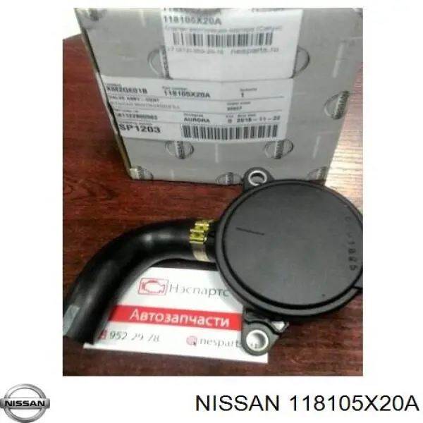 118105X20A Nissan масловіддільник