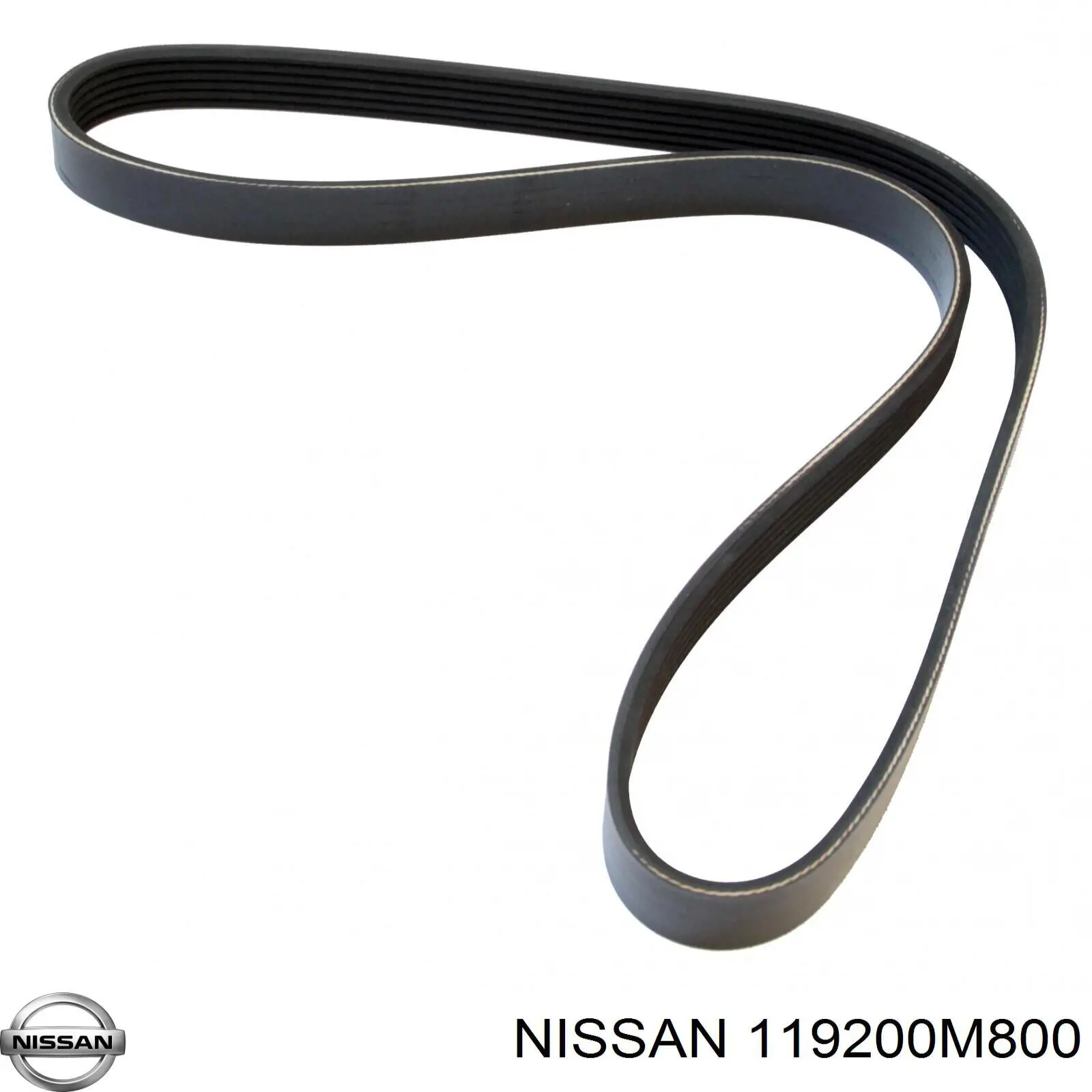 119200M800 Nissan ремінь приводний, агрегатів