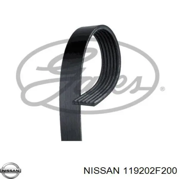 119202F200 Nissan ремінь приводний, агрегатів