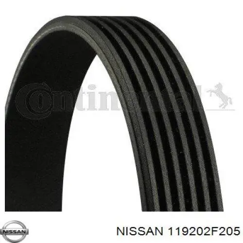 Клиновий ремінь Nissan/Infiniti 119202F205 ціна, від 9.15 USD